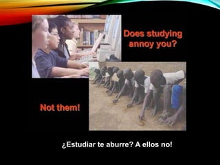 ¿Estudiar te aburre? A ellos no!
 