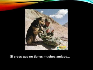 Si crees que no tienes muchos amigos...
 