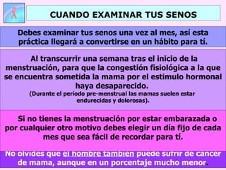 No olvides que  el hombre también  puede sufrir de cáncer de mama, aunque en un porcentaje mucho menor . Debes examinar tus senos una vez al mes, así esta práctica llegará a convertirse en un hábito para tí. Al transcurrir una semana tras el inicio de la menstruación, para que la congestión fisiológica a la que se encuentra sometida la mama por el estimulo hormonal haya desaparecido.  (Durante el período pre-menstrual las mamas suelen estar  endurecidas y dolorosas). Si no tienes la menstruación por estar embarazada o por cualquier otro motivo debes elegir un día fijo de cada mes que sea fácil de recordar para tí. CUANDO EXAMINAR TUS SENOS 