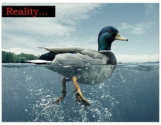 Reality...
 
