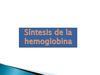 Sinstesis de hemoglobina