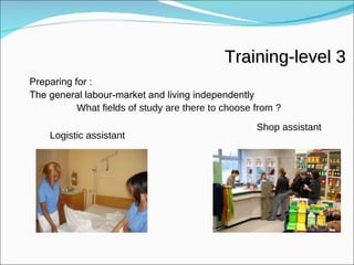 Training-level 3 Logistic assistant Shop assistant   What fields of study are there to choose from ? Preparing for :  The general labour-market and living independently 