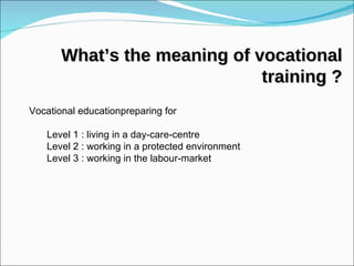 Vocational educationpreparing for  Level 1 : living in a day-care-centre Level 2 : working in a protected environment Level 3 : working in the labour-market What’s the meaning of vocational training ? 