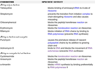 INHIBITOR                               SPECIFIC EFFECT
Acting only on bacteria
Tetracycline                                blocks binding of aminoacyl-tRNA to A-site of 
                                            ribosome
Streptomycin                                prevents the transition from initiation complex to
                                            chain-elongating ribosome and also causes
                                            miscoding
Chloramphenicol                             blocks the peptidyl transferase reaction on
                                            ribosomes
Erythromycin                                blocks the translocation reaction on ribosomes
Rifamycin                                   blocks initiation of RNA chains by binding to 
                                            RNA polymerase (prevents RNA synthesis)
Acting on bacteria and eucaryotes
Puromycin                                   causes the premature release of nascent 
                                            polypeptide chains by its addition to growing
                                            chain end
Actinomycin D                               binds to DNA and blocks the movement of RNA
                                            polymerase (prevents RNA synthesis)
Acting on eucaryotes but not bacteria
Cycloheximide                               blocks the translocation reaction on ribosomes
Anisomycin                                  blocks the peptidyl transferase reaction on
                                            ribosomes
α-Amanitin                                  blocks mRNA synthesis by binding preferentially
                                            to RNA polymerase II
 