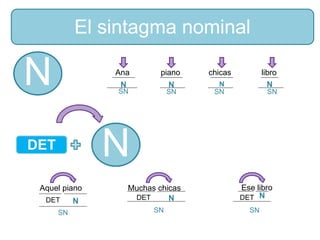 Ana
Aquel piano Muchas chicas Ese libro
piano chicas libro
SN SN SN SN
DET N DET N DET N
NNNN
SN SN SN
N
NDET
El sintagma nominal
 