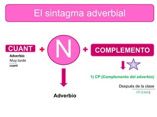 El sintagma adverbial
N COMPLEMENTO
Adverbio
1) CP (Complemento del adverbio)
Después de la clase
CP (CAdv)
1
CUANT
Adverbio
Muy tarde
cuant
 
