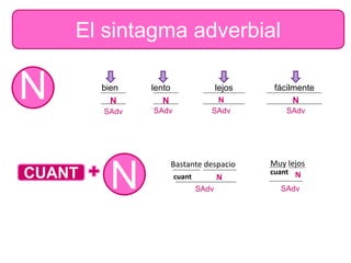 El sintagma adverbial
N bien lento lejos fácilmente
SAdv SAdv SAdv SAdv
NNNN
NCUANT
Bastante despacio
cuant N
SAdv
Muy lejos
cuant N
SAdv
 