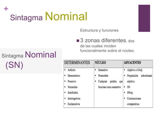 +
Sintagma Nominal
Estructura y funciones
 3 zonas diferentes, dos
de las cuales inciden
funcionalmente sobre el núcleo.
Sintagma Nominal
(SN)
 