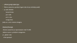• UPRAVLJANJE (REKCIJA)
• Glavna sastavnica upravlja drugom tako da joj određuje padež
• pr. jede čokoladu
komad drveta
pun vode
prvi u nizu
mnogo žena
Javlja se u svim vrstama sintagme.
PRIDRUŽIVANJE:
-Zavisna sastavnica je nepromjenjiva riječ ili oblik
-Javlja se samo u priložnim sintagmama
pr. gledati rado
trčati pjevajući
 