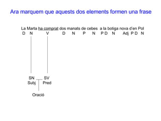 La Marta  ha comprat  dos manats de cebes  a la botiga nova d’en Pol D  N  V  D  N  P  N  P D  N  Adj  P D  N Ara marquem que aquests dos elements formen una frase SN Subj SV Pred Oració 
