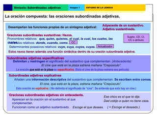 Desempeñan las funciones propias de un sintagma adjetival: Adyacente de un sustantivo. Subordinadas adjetivas explicativas...