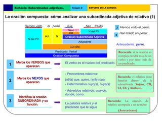 Marca los VERBOS que aparecen. Hemos visto  el  perro  que  han  traído. Predicado  Verbal 1 Adyacente Oración Subordinada...