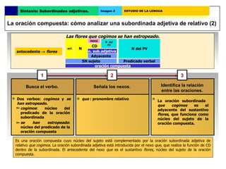 Las flores que cogimos se han estropeado. adjetiva   antecedente     flores Busca el verbo. Señala los nexos. Identifica ...