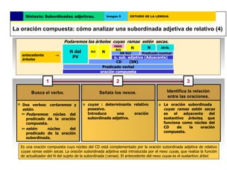 Podaremos los árboles  cuyas  ramas  estén  secas. antecedente     árboles Busca el verbo. Señala los nexos. Identifica l...