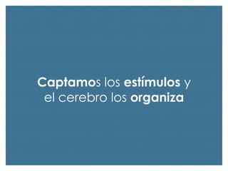 Captamos los estímulos y
el cerebro los organiza

 
