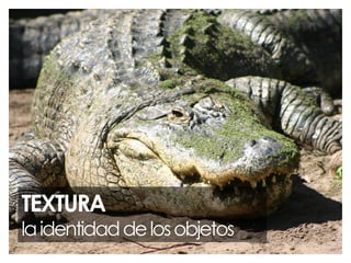 TEXTURA

la identidad de los objetos

 