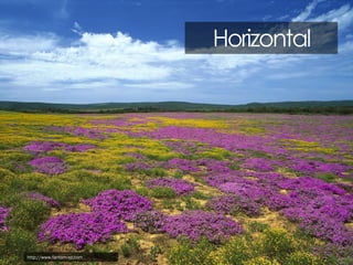 Horizontal

http://www.fantom-xp.com

 