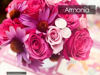 Armonía

http://www.fanpop.com

 
