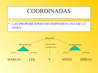 COORDINADAS
• LAS PROPOSICIONES NO DEPENDEN UNA DE LA
OTRA.
ORACIÓN
PROPOSICIÓN

CONJUNCIÓN

PROPOSICIÓN

COORDINADA
SN-SUJ

MARUJA

SV-PRED

LEE

SN-SUJ

Y

SONIA

SV-PRED

DIBUJA

 