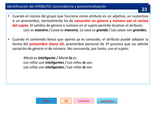 Identificación del ATRIBUTO: concordancia y pronominalización
• Cuando el núcleo del grupo que funciona como atributo es un adjetivo, un sustantivo
o un pronombre, normalmente ha de concordar en género y número con el núcleo
del sujeto. El cambio de género o número en el sujeto permite localizar el atributo:
Luis es maestro / Luisa es maestra; La casa es grande / Las casas son grandes.
• Cuando el contenido léxico que aporta ya es conocido, el atributo puede adoptar la
forma del pronombre átono LO, pronombre personal de 3ª persona que no admite
variación de género ni de número. No concuerda, por tanto, con el sujeto:
María es inteligente / María lo es.
Los niños son inteligentes / Los niños lo son.
Las niñas son inteligentes / Las niñas lo son.
Todos estamos cansados
LO
23
 