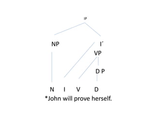 NP I´
VP
D P
N I V D
*John will prove herself.
IP
 