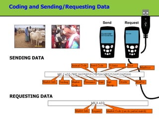 Improving livestock market information flow and early warning systems for pastoral communities using ICT