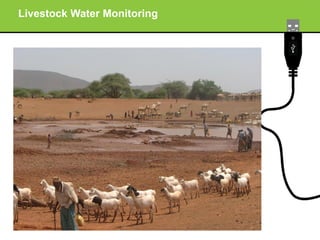 Improving livestock market information flow and early warning systems for pastoral communities using ICT