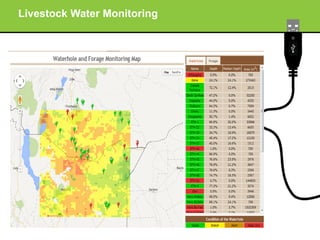 Improving livestock market information flow and early warning systems for pastoral communities using ICT