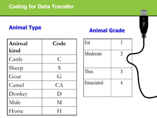Improving livestock market information flow and early warning systems for pastoral communities using ICT
