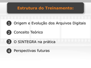 Estrutura do Treinamento:



1 Origem e Evolução dos Arquivos Digitais

2 Conceito Teórico

3 O SINTEGRA na prática

4 Perspectivas futuras
 