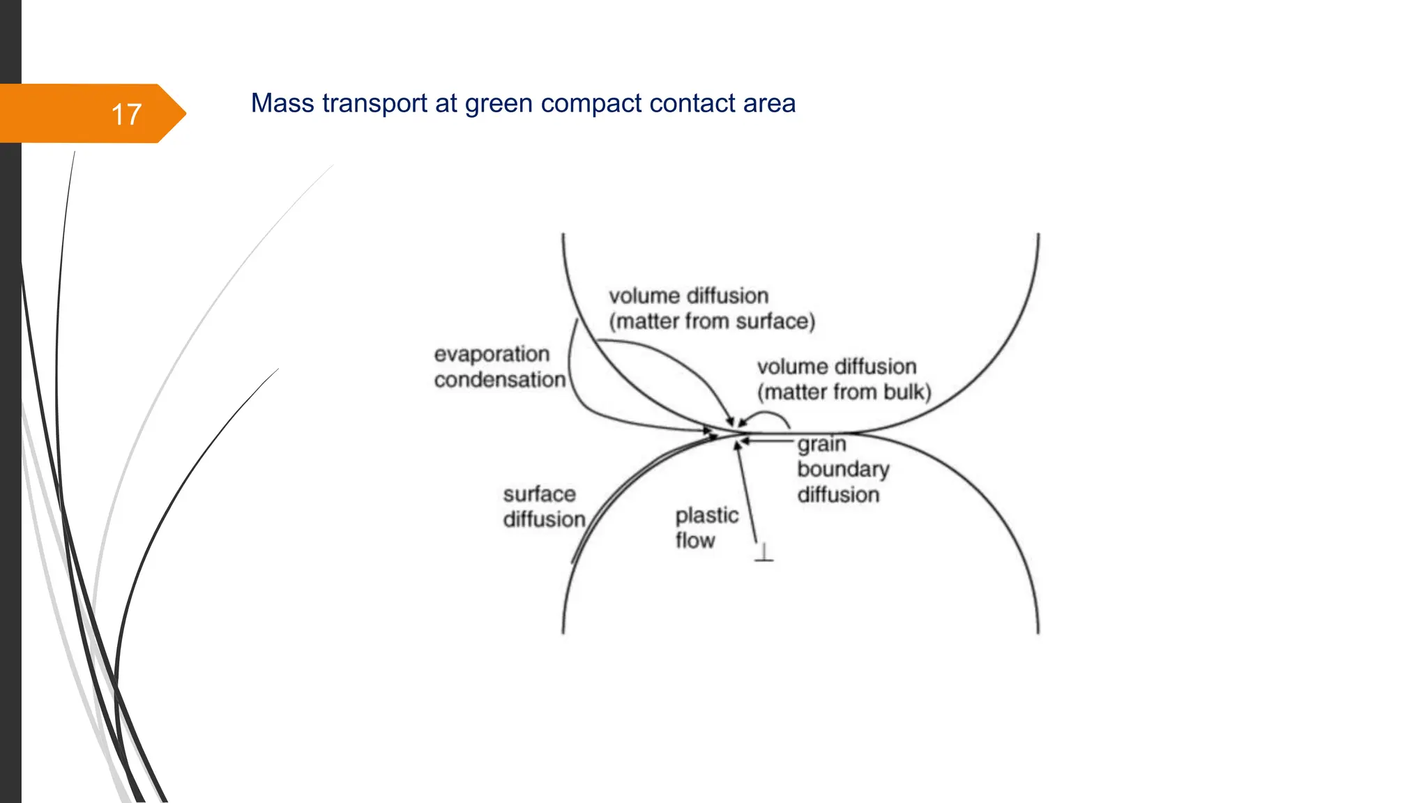 17 Mass transport at green compact contact area
 