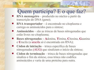 Quem participa? E o que faz? RNA mensageiro  – produzido no núcleo a partir da transcrição do DNA (gene); RNA transportador  – é encontrado no citoplasma e carrega os aminoácidos para a síntese; Aminoácidos  – são as trincas de bases nitrogenadas que estão livres no citoplasma; Bases nitrogenadas –  A denina,  T imina,  C itosina,  G uanina e  U racila (a  uracila  só é encontrada em RNA); Códon de iniciação  – trinca específica de bases nitrogenadas  (AUG)  que sinalizam o início da síntese; Códon de terminação  – trinca de bases nitrogenadas que sinaliza o fim da síntese, essa trinca não codifica aminoácidos e varia de uma proteína para outra. 
