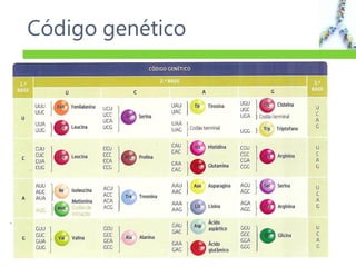 Código genético
9
 
