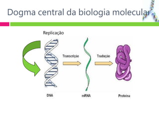 Dogma central da biologia molecular
Replicação
 