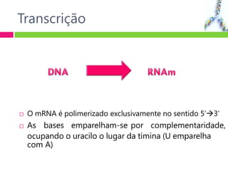 Transcrição
 O mRNA é polimerizado exclusivamente no sentido 5’3’
 As bases emparelham-se por complementaridade,
ocupando o uracilo o lugar da timina (U emparelha
com A)
 