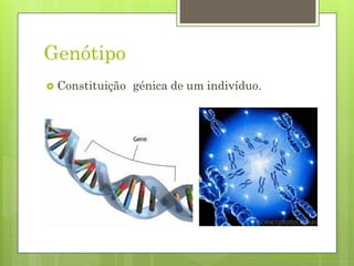 Genótipo
 Constituição génica de um indivíduo.
Nuno Correia 2011/12
 