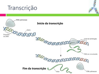 Transcrição
Início da transcrição
Fim da transcrição
 