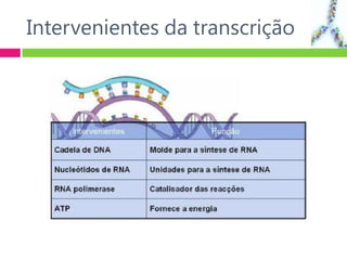 Intervenientes da transcrição
 