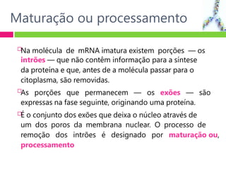 Maturação ou processamento



Na molécula de mRNA imatura existem porções — os
intrões — que não contêm informação para a síntese
da proteína e que, antes de a molécula passar para o
citoplasma, são removidas.
As porções que permanecem — os exões — são
expressas na fase seguinte, originando uma proteína.
É o conjunto dos exões que deixa o núcleo através de
um dos poros da membrana nuclear. O processo de
remoção dos intrões é designado por maturação ou,
processamento
 