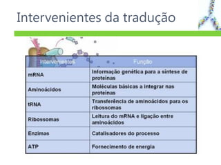 Intervenientes da tradução
24
 