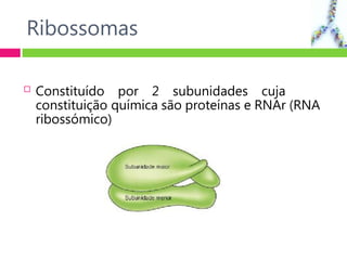 Ribossomas
 Constituído por 2 subunidades cuja
constituição química são proteínas e RNAr (RNA
ribossómico)
 