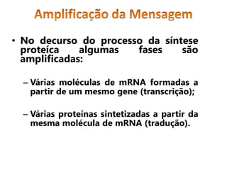 • No decurso do processo da síntese
proteíca algumas fases são
amplificadas:
– Várias moléculas de mRNA formadas a
partir de um mesmo gene (transcrição);
– Várias proteínas sintetizadas a partir da
mesma molécula de mRNA (tradução).
 