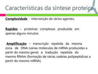 Características da síntese proteica
Complexidade - intervenção de vários agentes.
Rapidez – proteínas complexas produzida em
apenas alguns minutos.
Amplificação – transcrição repetida da mesma
zona de DNA (várias moleculas de mRNA produzidas a
partir do mesmo gene) e tradução repetida do
mesmo RNAm (formação de várias cadeias polipeptídicas a
partir do mesmo mRNA).
 