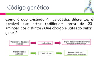 Código genético
Como é que existindo 4 nucleótidos diferentes, é
possível que estes codifiquem cerca de 20
aminoácidos distintos? Que código é utilizado pelos
genes?
Monómeros dos ácidos
nucleicos
Monómeros das
proteínas
4 tipos de nucleótidos diferentes
em cada ácido nucleico
Existem cerca de 20
aminoácidos diferentes
Nucleótidos
Aminoácidos
 