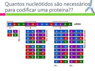 Quantos nucleótidos são necessários
para codificar uma proteína??
 