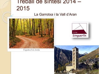 Treball de síntesi 2014 –
2015
La Garrotxa i la Vall d’Aran
 