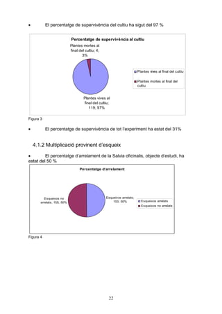 •          El percentatge de supervivència del cultiu ha sigut del 97 %


                            Percentatge de supervivència al cultiu
                            Plantes mortes al
                            final del cultiu; 4;
                                    3%



                                                                         Plantes vives al final del cultiu

                                                                         Plantes mortes al final del
                                                                         cultiu


                                     Plantes vives al
                                     final del cultiu;
                                        119; 97%

Figura 3

•          El percentatge de supervivència de tot l’experiment ha estat del 31%


    4.1.2 Multiplicació provinent d’esqueix

•        El percentatge d’arrelament de la Salvia oficinalis, objecte d’estudi, ha
estat del 50 %
                                  Percentatge d'arrelament




          Esqueixos no                             Esqueixos arrelats;
       arrelats; 155; 50%                              153; 50%            Esqueixos arrelats
                                                                           Esqueixos no arrelats




Figura 4




                                                     22
 