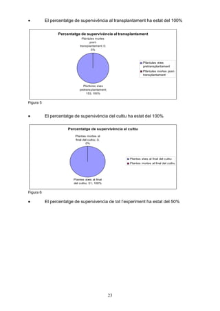 •          El percentatge de supervivència al transplantament ha estat del 100%

                 Percentatge de supervivència al transplantament
                                Plàntules mortes
                                      post-
                              transplantament; 0;
                                       0%



                                                                   Plàntules vives
                                                                   pretransplantament
                                                                   Plàntules mortes post-
                                                                   transplantament


                                Plàntules vives
                             pretrans plantament;
                                  153; 100%


Figura 5


•          El percentatge de supervivència del cultiu ha estat del 100%

                      Percentatge de supervivència al cultiu

                          Plantes mortes al
                          final del cultiu; 0;
                                  0%




                                                         Plantes vives al final del cultiu
                                                         Plantes mortes al final del cultiu




                         Plantes vives al final
                         del cultiu; 51; 100%


Figura 6

•          El percentatge de supervivencia de tot l’experiment ha estat del 50%




                                                    23
 