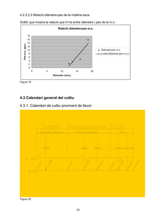 4.2.3.2.3 Relació diàmetre-pes de la matèria seca

Gràfic que mostra la relació que hi ha entre diàmetre i pes de la m.s.
                                      Relació diàmetre-pes m.s.

                     18
                     16
                     14
   Pes m.s. (grs.)




                     12
                     10                                           Diàmetre-pes m.s.
                      8                                           Lineal (Diàmetre-pes m.s.)
                     6
                     4
                     2
                     0
                          0   5         10          15       20
                                  Diàmetre (cms.)

Figura 19




4.3 Calendari general del cultiu

4.3.1. Calendari de cultiu provinent de llavor




Figura 20




4.3.2. Esqueix


Figura 20



                                                    30
 