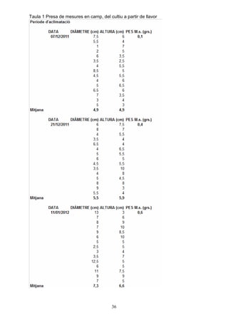 Taula 1 Presa de mesures en camp, del cultiu a partir de llavor




                                        36
 
